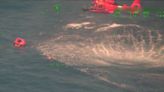 U.S. Coast Guard crew saves three men from sunken boat off Dry Tortugas National Park