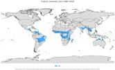 Tropical savanna climate