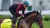 Japanese Derby Contenders Log Contrasting Final Drills