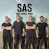 SAS: Who Dares Wins