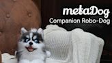 Chinese company unveils metaDog robotic companion