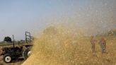 India restricts rice exports, could fuel food inflation