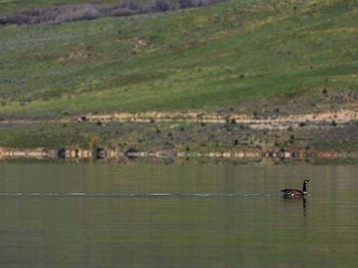Summer is here. How full is every major Utah reservoir to start the season?
