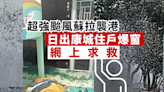 日出康城 吹爆窗求助網友