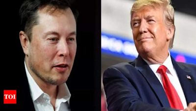 US presidential election 2024: How Elon Musk chose Trump - Times of India