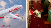 Netzines says ‘Hum Nahi Sudhrenge’ after Air India’s littered cabin image goes viral - The Economic Times