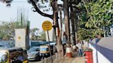 Mumbai: 3,000 trees to be planted across the city