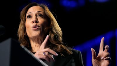 Why Kamala Harris says we need a national reserve for critical minerals