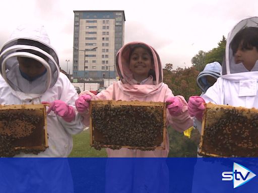 Schoolchildren get buzz-y meeting 100,000 worker bees