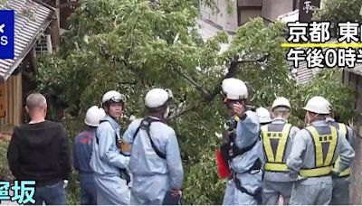 日本京都清水寺附近景點產寧坂傳意外 櫻花樹倒下壓傷62歲翁