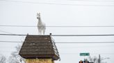 New White Horse Tavern owners ready to add ‘a little bit of our flavor’