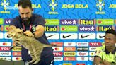 La “maldición del gato”: el polémico episodio que condena a la selección de Brasil desde Qatar 2022 | + Deportes