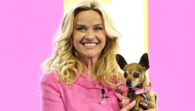 ‘Legally Blonde’ prequel series about Elle Woods’ high school years coming to Amazon