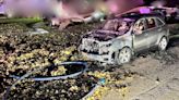 SUV bursts into flames after driver parks it on pile of leaves, Illinois officials say