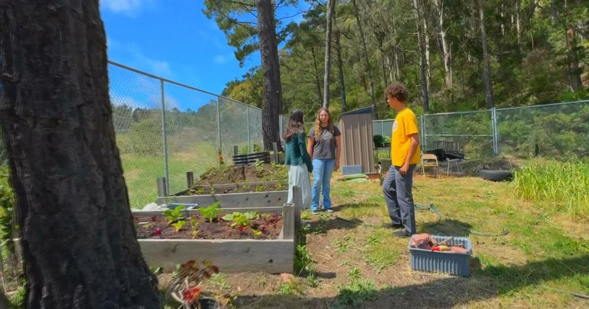 Pacifica students tackle climate change lesson with leadership program, community garden