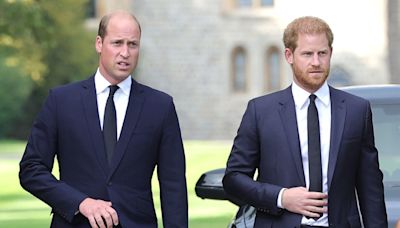 Prince William and Prince Harry's heartbreak as family death revealed