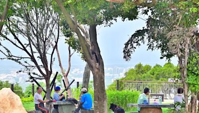 中市海線熱門步道復建完工 美景再現