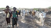 Are world’s 200 million pastoral herders a climate threat?