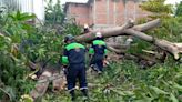 Pese a riesgo de desastres, 20 municipios del Istmo de Oaxaca carecen de consejos de Protección Civil
