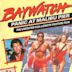 Baywatch: Panic at Malibu Pier