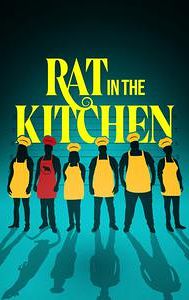 Rat in the Kitchen