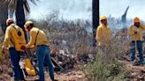 Incendios forestales en Nuevo León: Actualidad y acciones de brigadistas