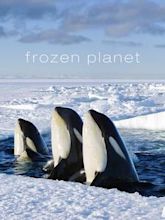 Frozen Planet