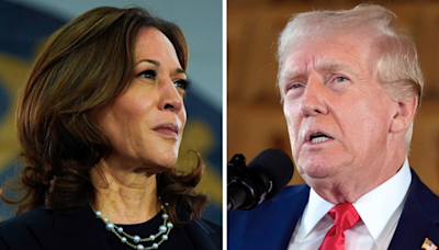 Trump leads Harris by just 2 points in Florida: Poll