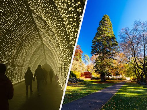 8 Unforgettable Melbourne Spots You Should Explore This Winter