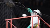 Dodgers-Diamondbacks delayed by bee swarm at Chase Field