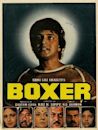 Boxer (1984 film)