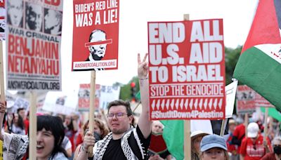 Anti-Israel protesters handed legal setback in effort to expand DNC rally