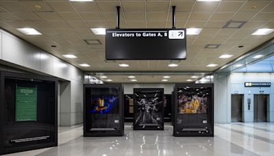 Fotos de desfiles da Viradouro estão em exposição em aeroporto na capital dos EUA