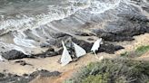 3rd body in Half Moon Bay plane crash identified