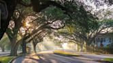 City Park, New Orleans