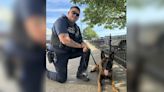 Kansas City K9 sniffs out suspected bank robber