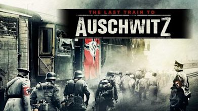 El último tren a Auschwitz