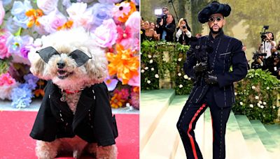 Glam Dogs Recreate the 2024 Met Gala's Most Iconic Looks for the Pet Gala