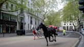 Don’t punish the horses for charging through London
