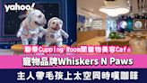 寵物品牌Whiskers N Paws聯乘Cupping Room開寵物美容Café 主人帶毛孩上「太空」同時嘆咖啡