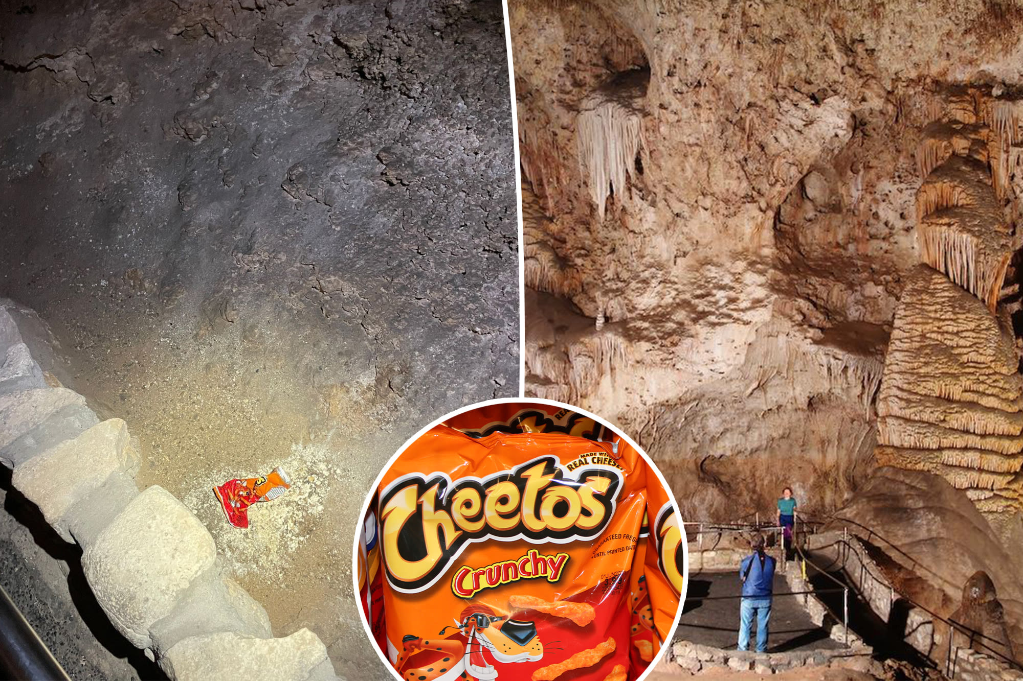 How a single bag of smuggled Cheetos sparked a ‘world-changing’ impact in national park