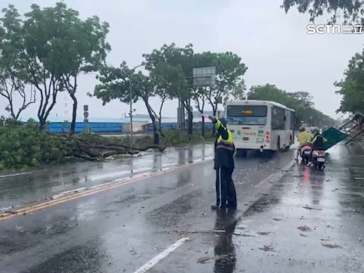 高雄狂風雨炸「路樹倒一排」 民眾直呼如颱風天