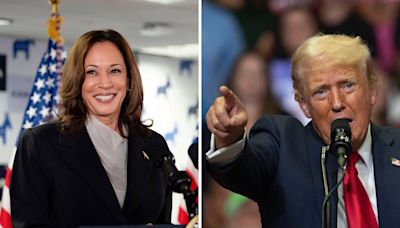 Mary Trump says Kamala Harris "terrifies" Donald to "point of incoherence"