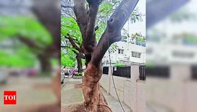 Risks of Hanging Wires for Bengaluru Residents | Bengaluru News - Times of India