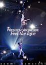 ayumi hamasaki PREMIUM SHOWCASE ～Feel the love～