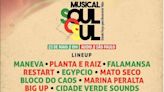 Festival Musical Soul recebe artistas como Maneva, Restart, Falamansa e muito mais em prol do Rio Grande do Sul