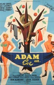 Adam Is Eve