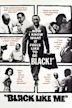 Black Like Me (film)