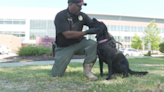 SC State unveils new gun-sniffing K-9 to counter campus crime