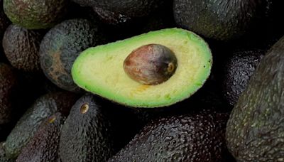 Se avecina una buena temporada de Palta Hass: gremio proyecta alza importante en la producción - La Tercera